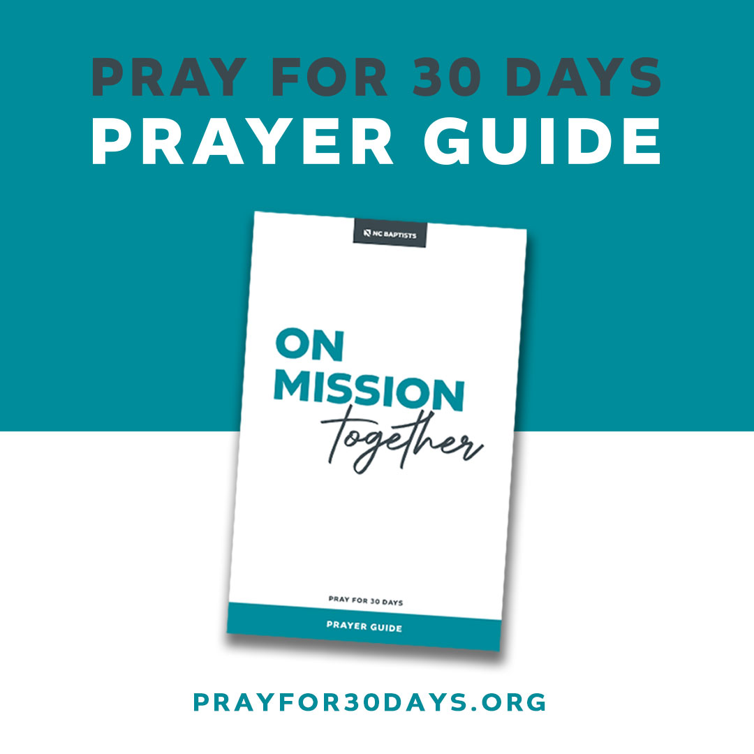 Image for Pray for 30 Days Prayer Guide