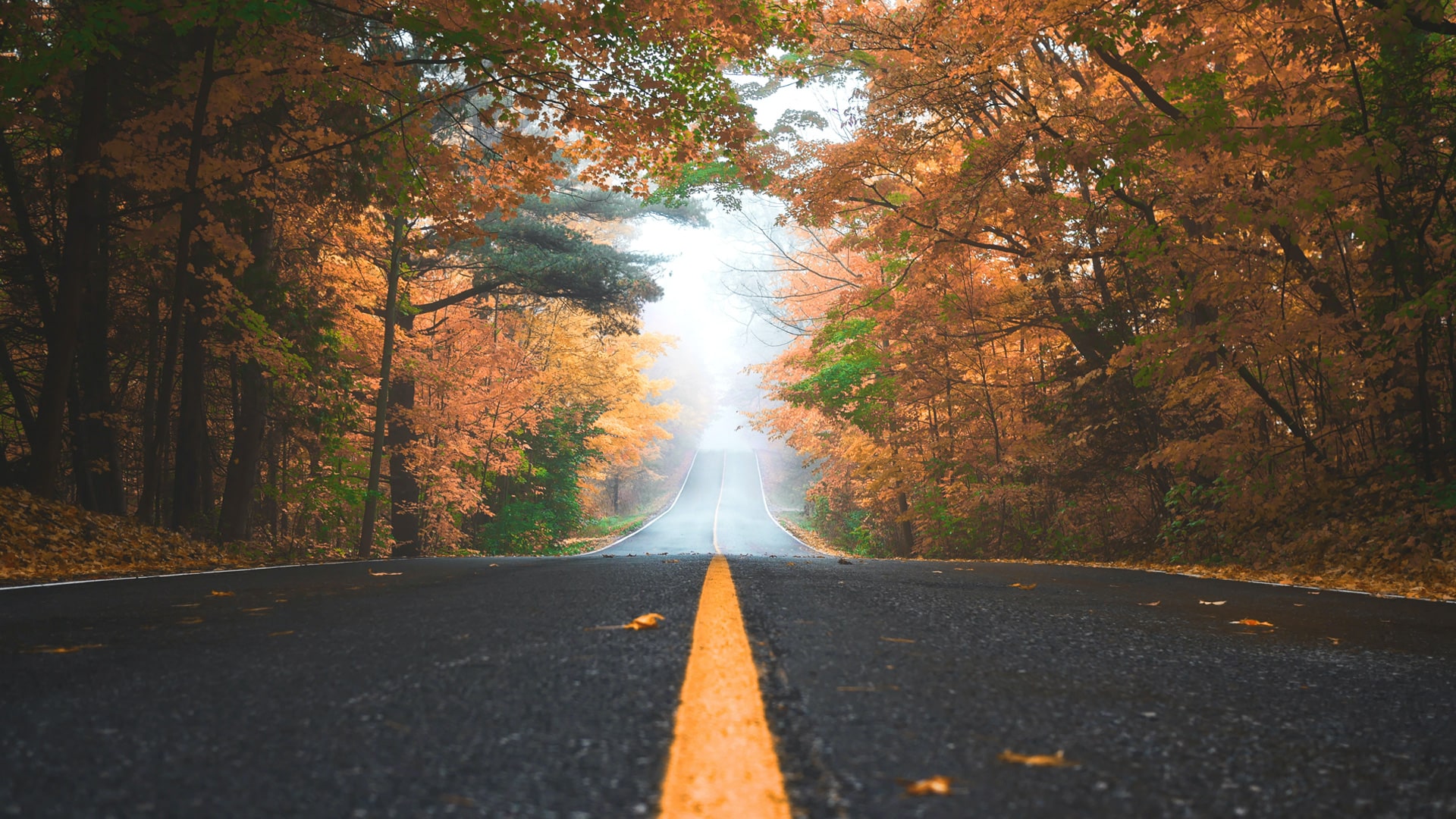 3 things pastors must do to enjoy the journey of ministry