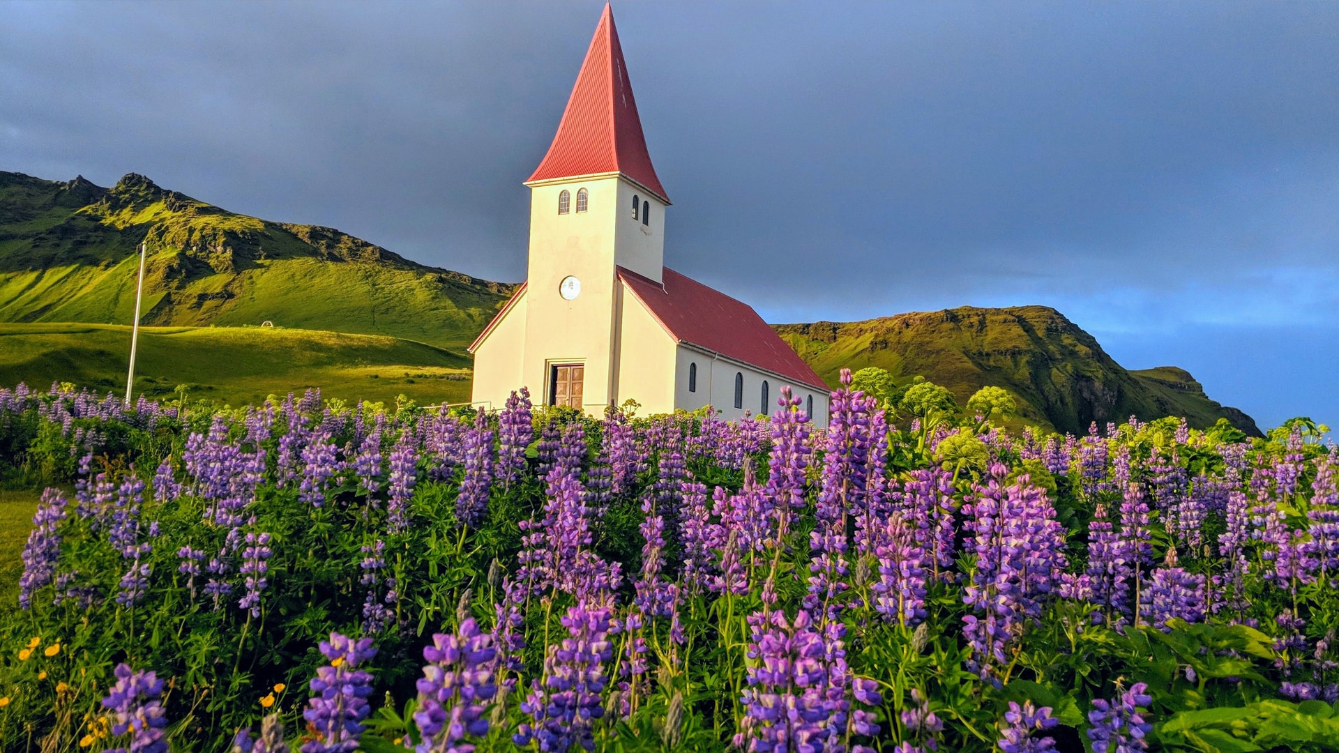 5 reasons you should care about the new church fostering movement