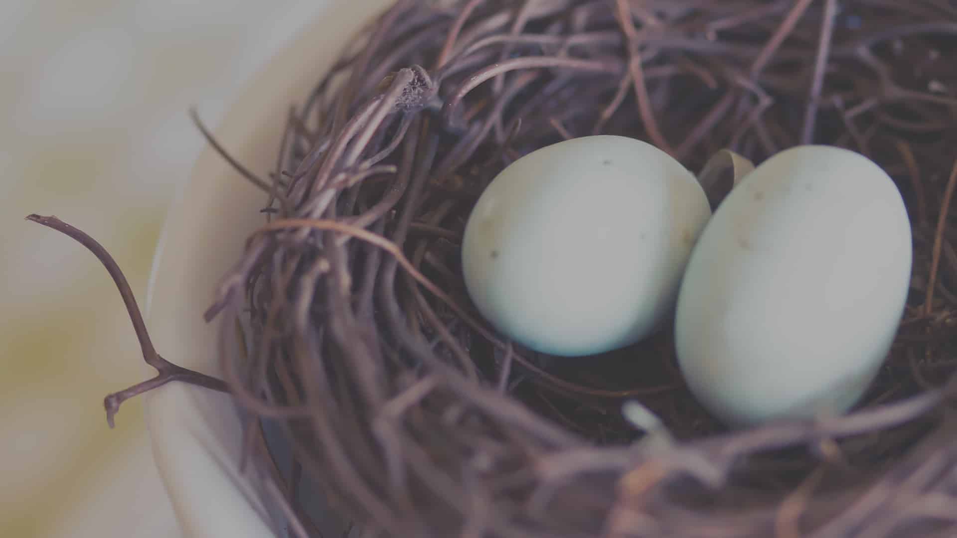 An Easter resource with families in mind
