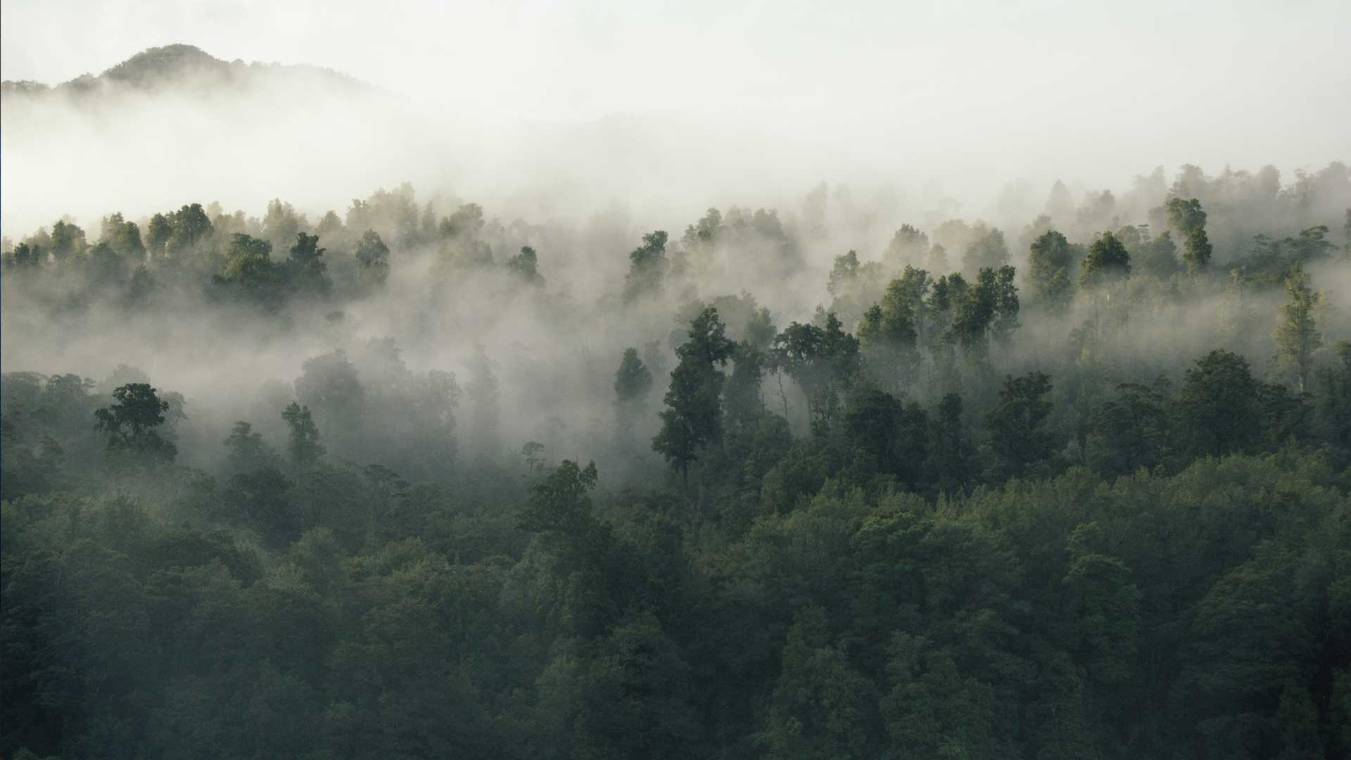 Dios se mueve en medio de la crisis