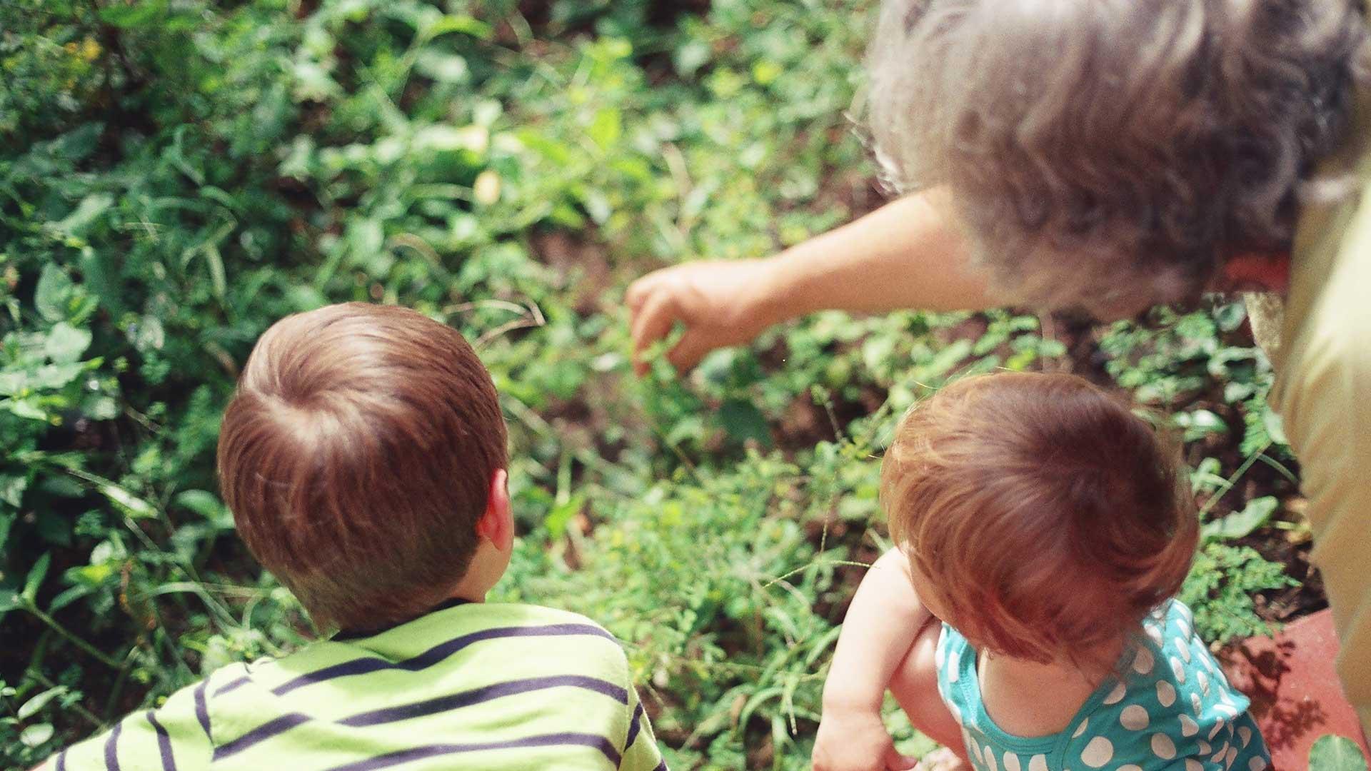 Ser abuelo: Adoptar una visión del tamaño de Dios