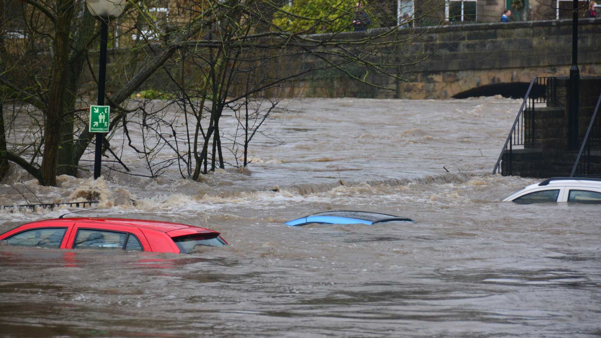 How to adjust to the new normal after disaster strikes