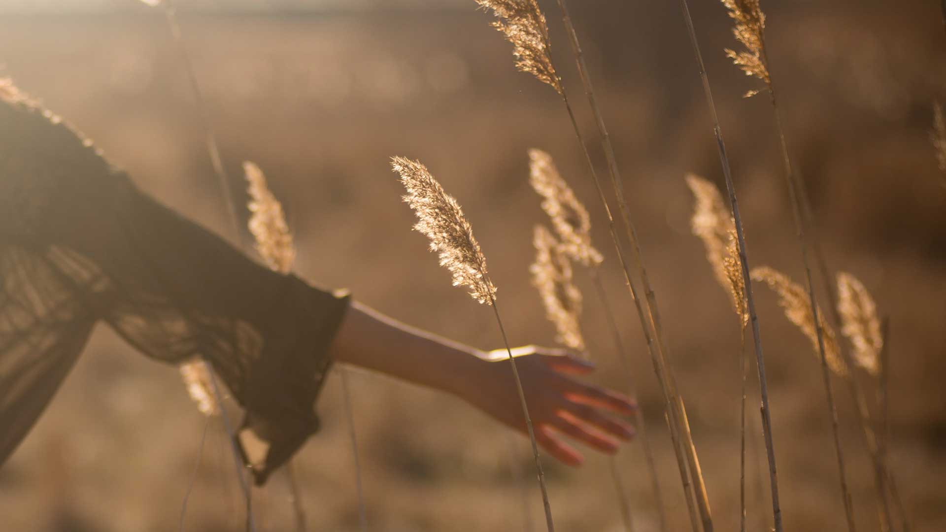 Practicing presence and being present in the midst of a pandemic