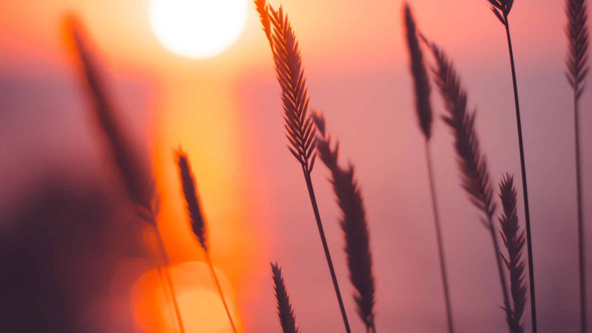 Q&A: Praying for God’s mercy through spiritual awakening