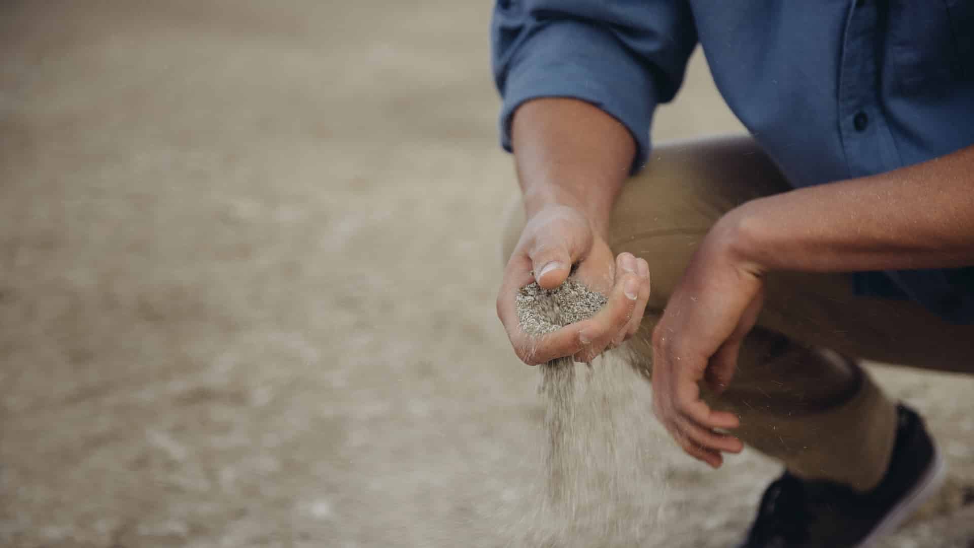 La revitalización: Un proceso, no un programa
