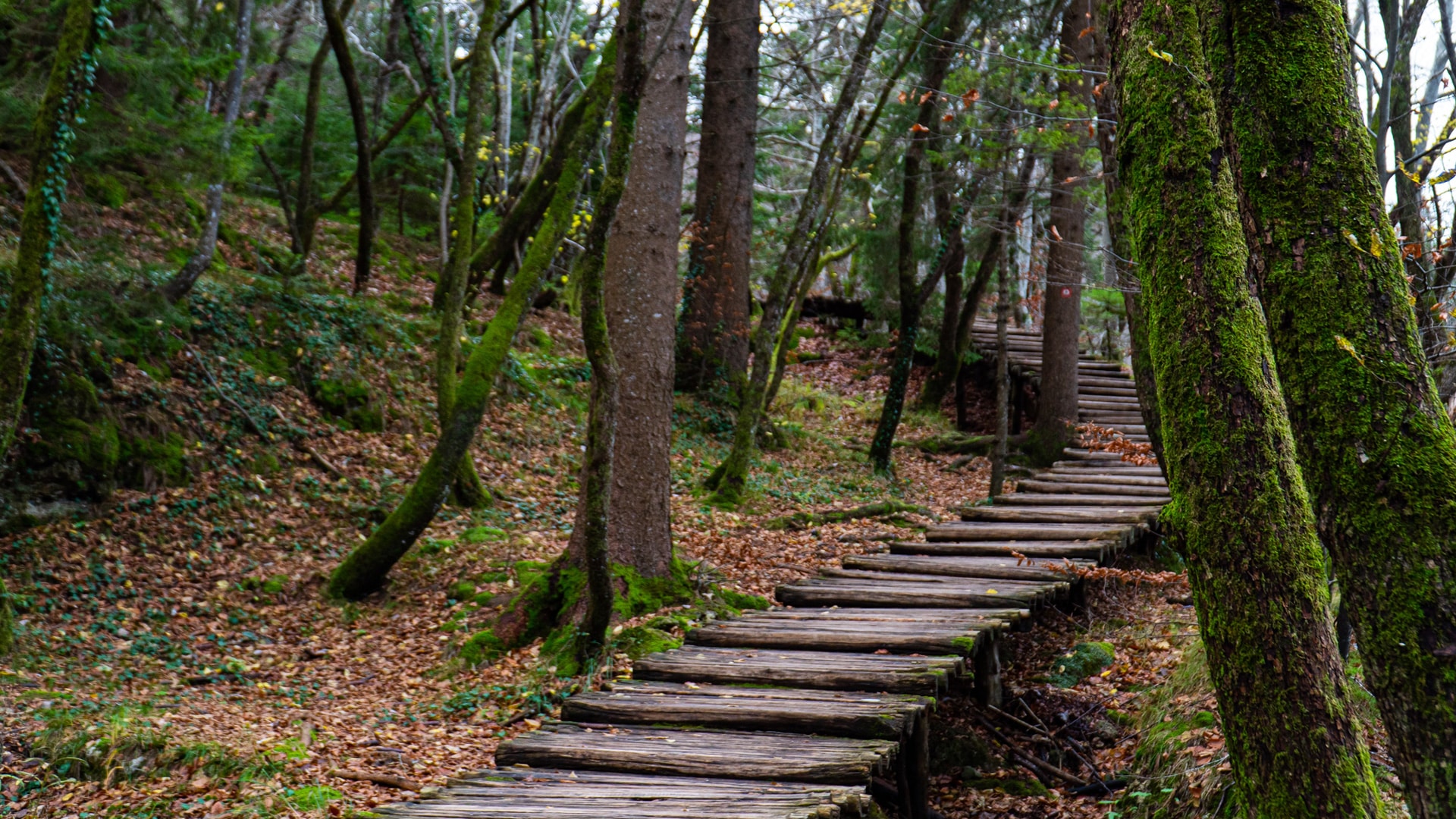 The importance of a good ministry exit strategy