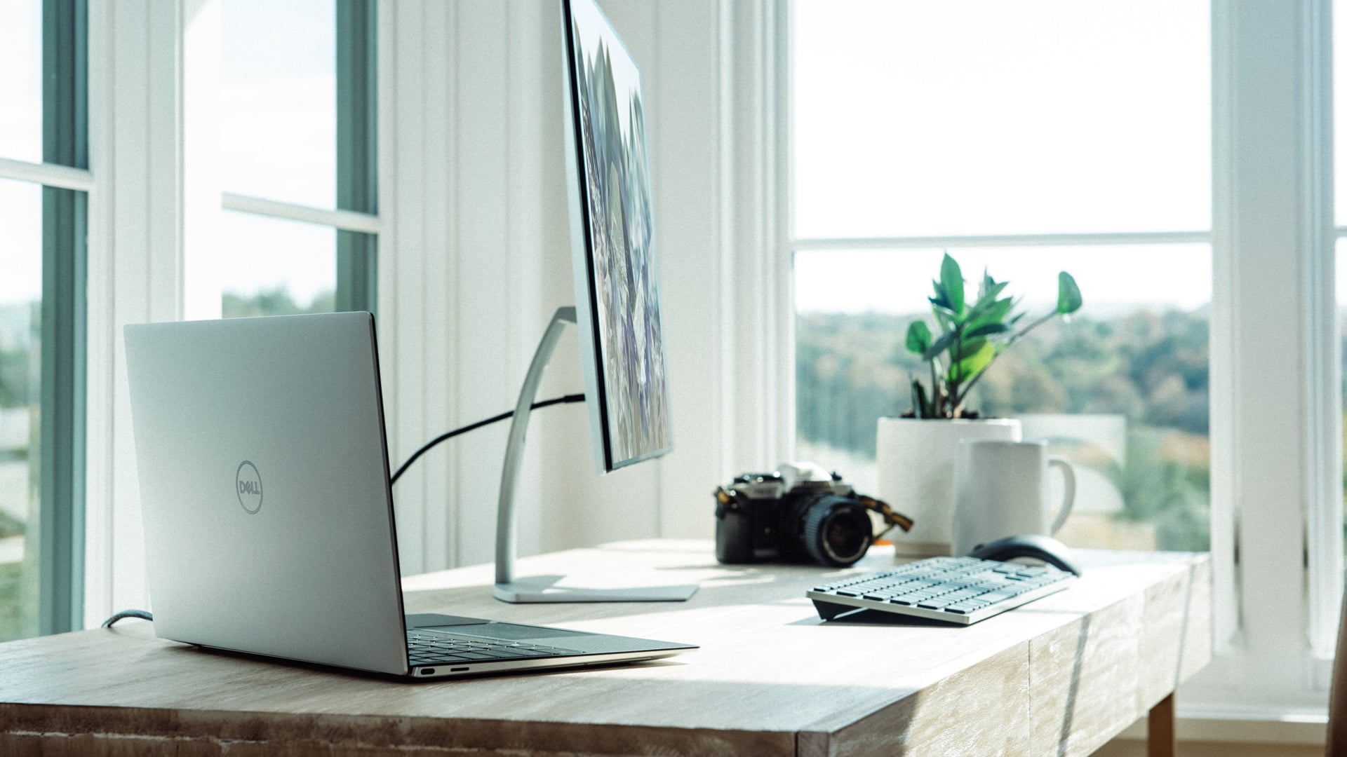 Top 5 resources for July 2021