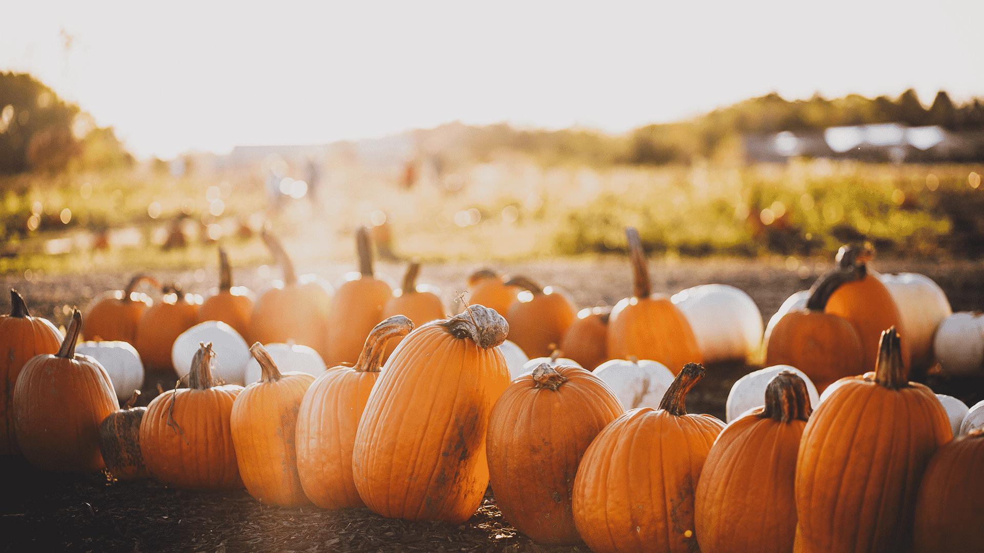 Por qué los cristianos deben celebrar Halloween