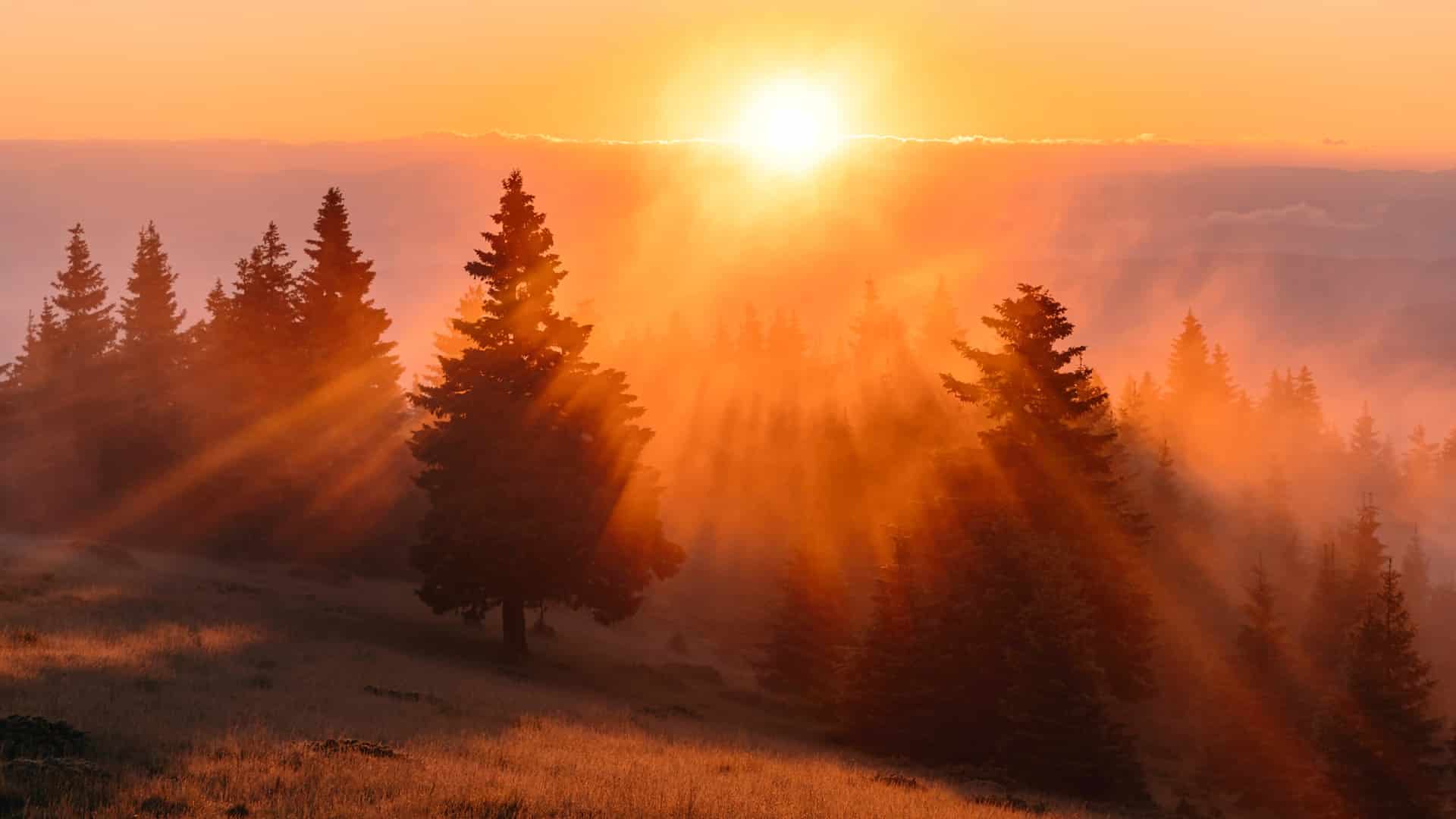 Why your church needs a God-sized vision