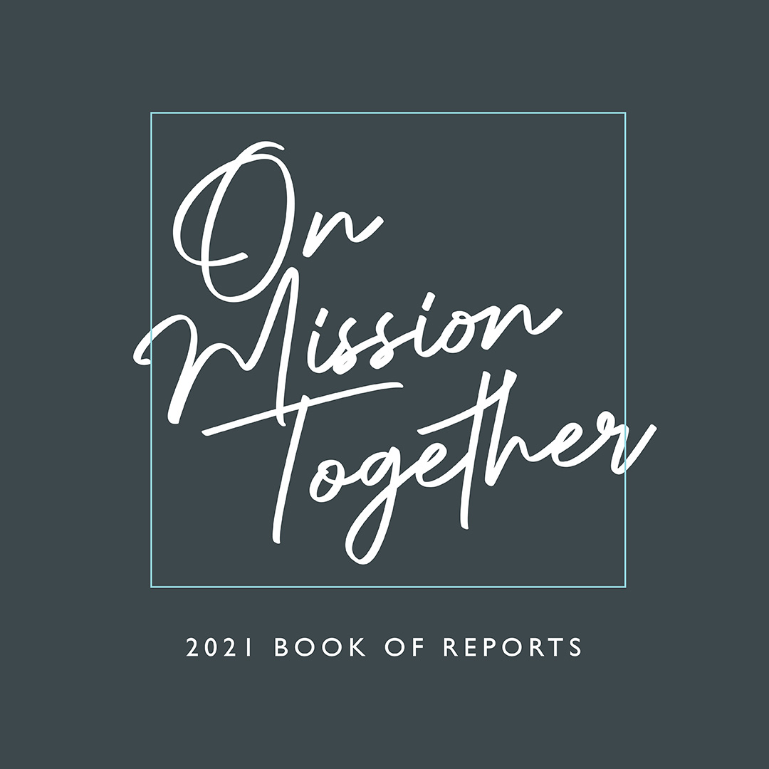 Image for 2021 AM Book of Reports