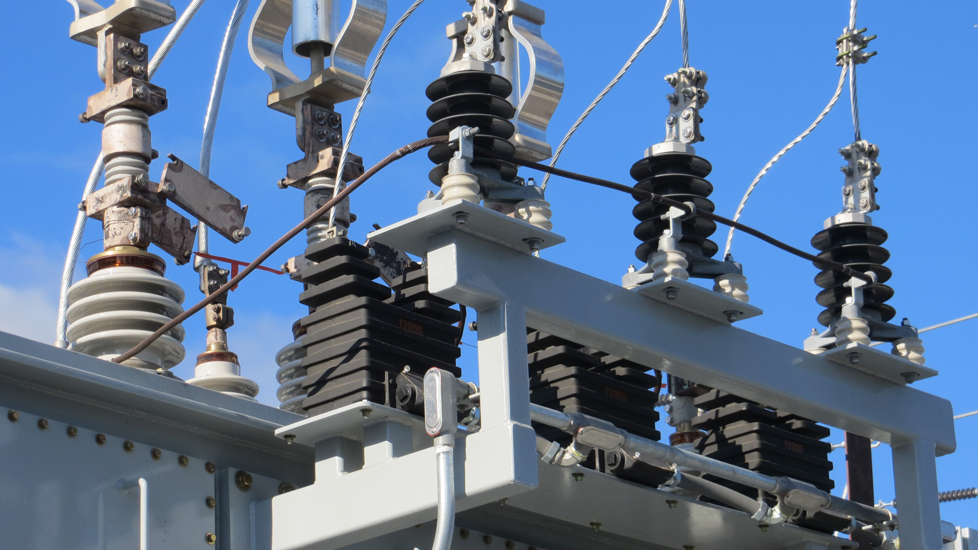 Los baptistas de Carolina del Norte responden a los cortes de electricidad generalizados en el condado de Moore