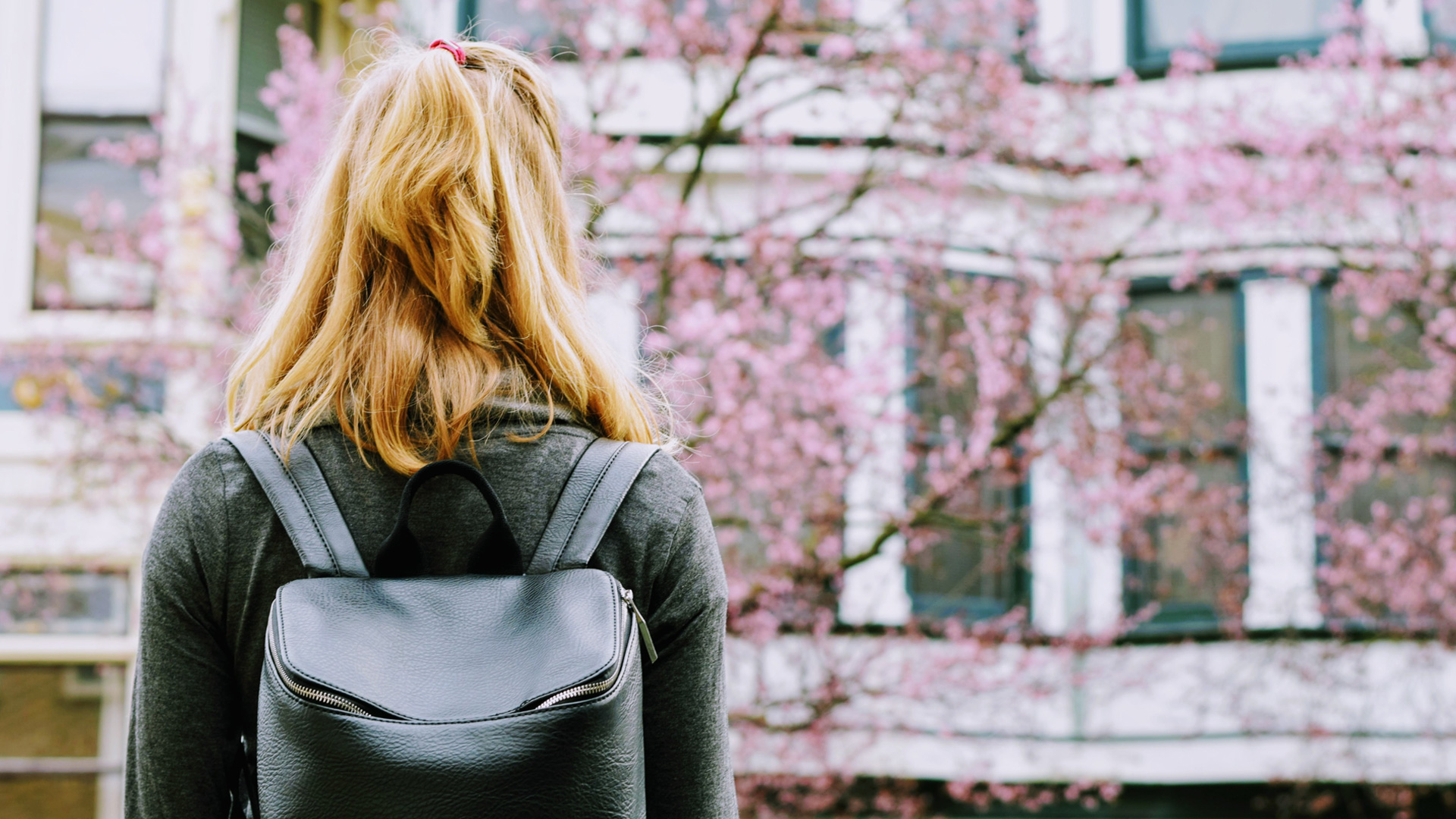 PODCAST: Pace and Horton answer the college question — how do I choose a college?