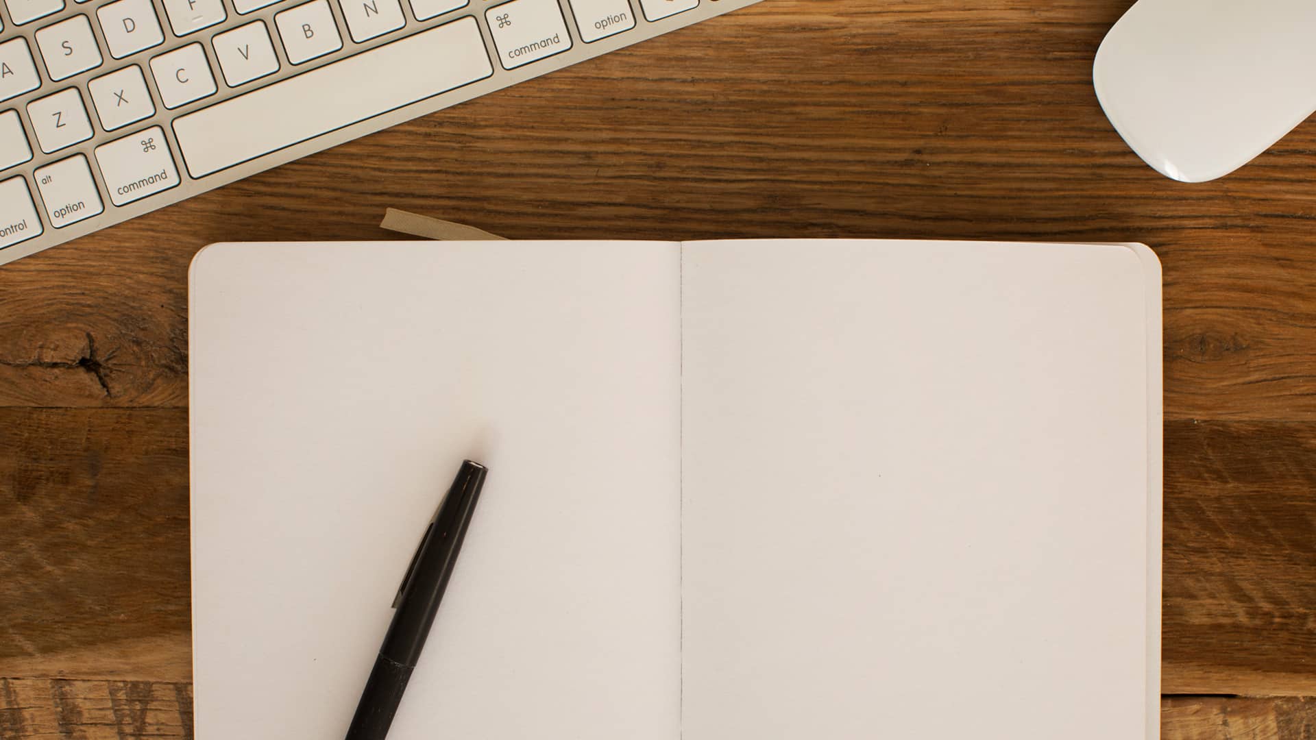 El comité de estudio comparte un informe sobre las entidades relacionadas con el BSCNC