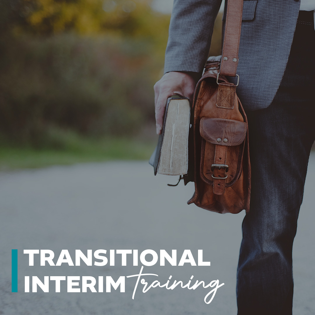 Image for Transitional Interim Training