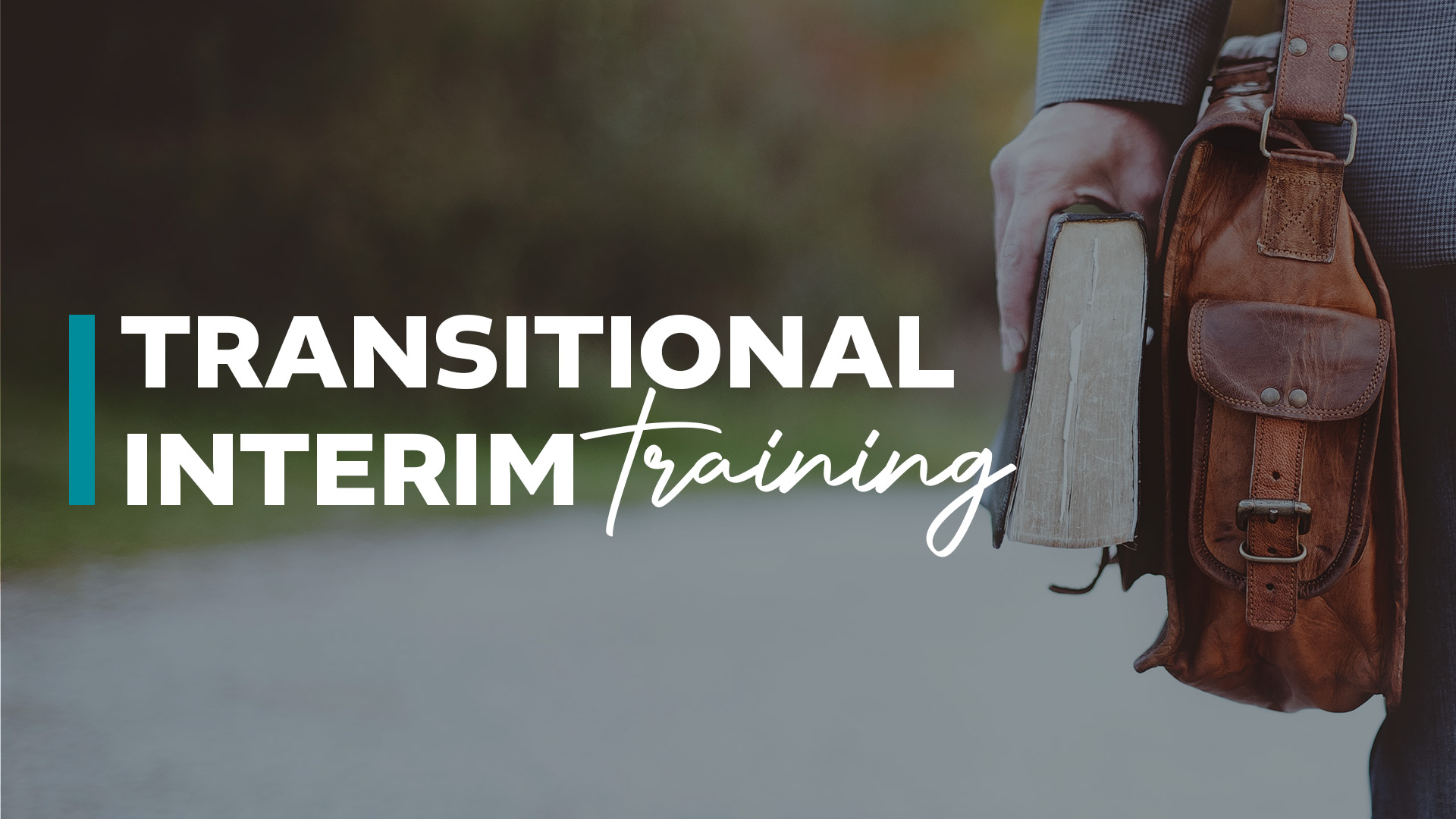 Transitional Interim Training