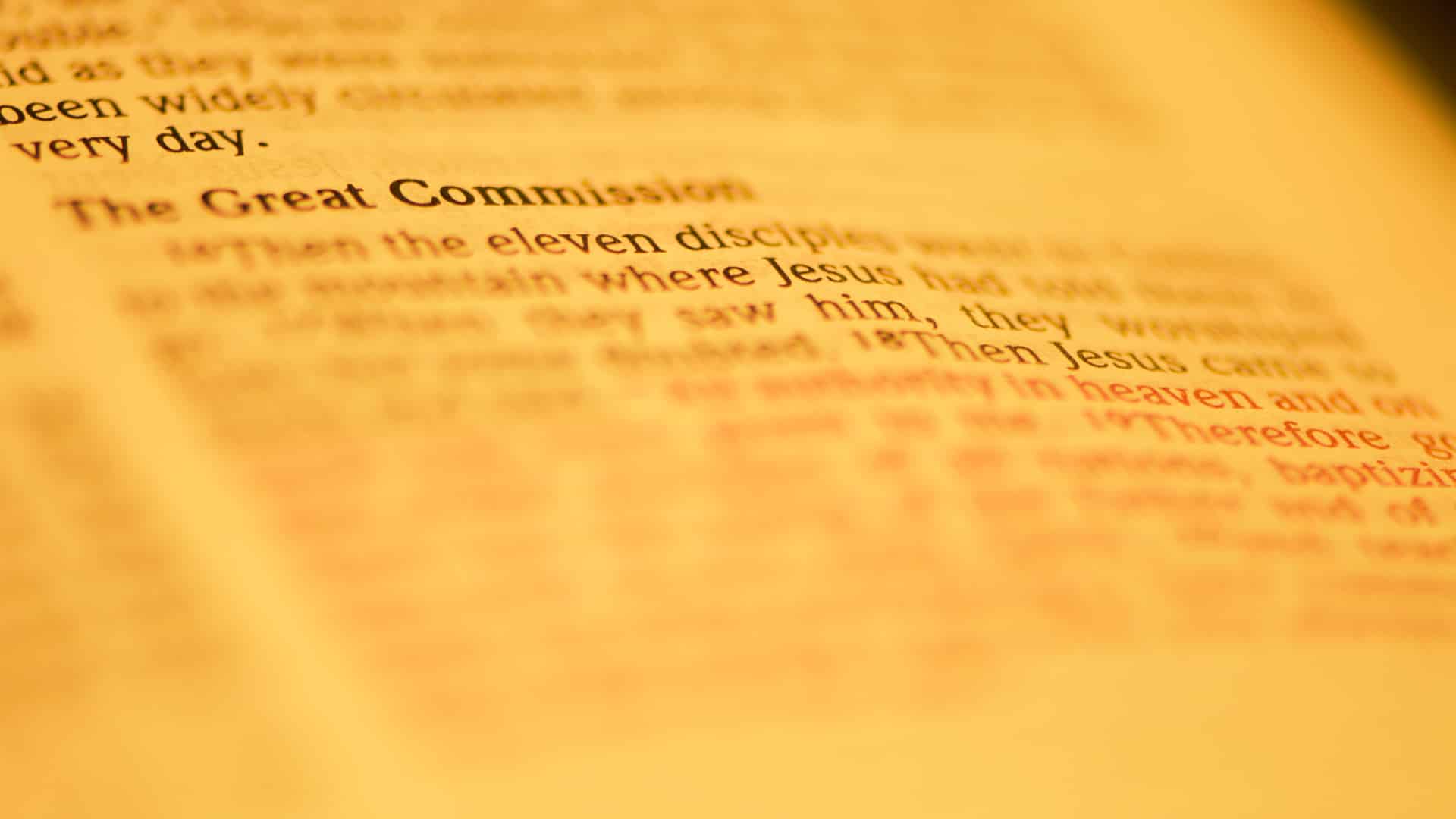 What does a healthy church look like?